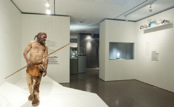 Загадку возраста “ледяного человека” Этци раскрыло новое исследование