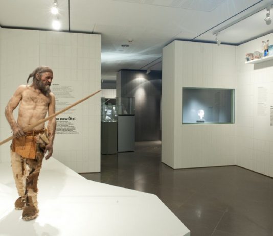 Загадку возраста “ледяного человека” Этци раскрыло новое исследование