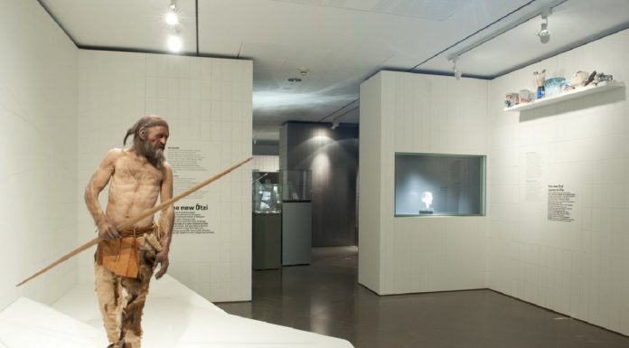 Загадку возраста “ледяного человека” Этци раскрыло новое исследование