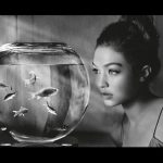 Представлен новый календарь Pirelli на 2019 год