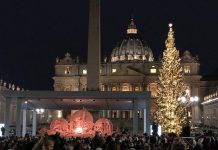 На площади в Ватикане зажгли огни на рождественской ели