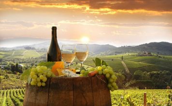 Ущерб сельскохозяйственного сектора Италии в 2022 году превысил €6 млрд