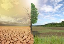 Генсек ООН призвал изменить курс в отношении проблем климата