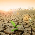 Изменение климата ударило по продовольствию