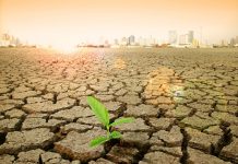 Крупнейший страховщик Европы рассказал, как климат уничтожит капитализм