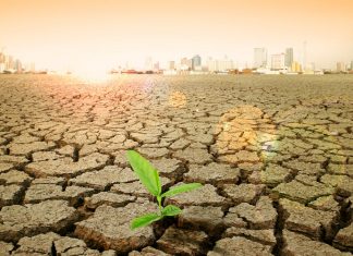 Подсчитан ущерб от изменений климата