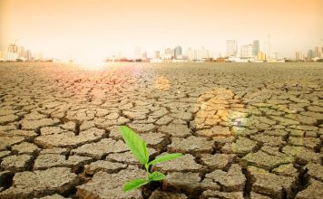Подсчитан ущерб от изменений климата
