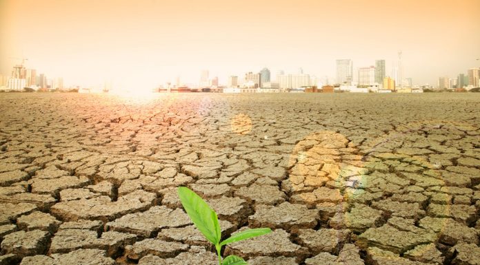 Европа сталкивается с растущим водным кризисом по мере усиления зимней засухи