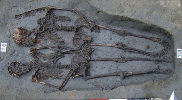 Ученые разгадали тайну «любовников из Модены»