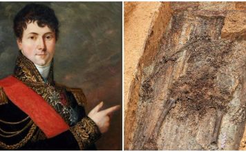 Любимец Наполеона и письмо из СССР: что находили в 2019 году