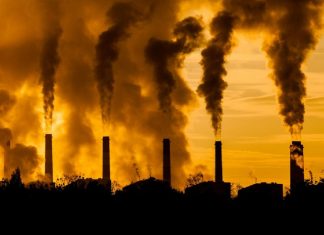 Европейские «зеленые» фонды оказались не «зелеными» инвесторами: нефть и газ выгоднее