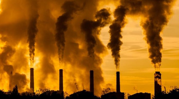 Европейские «зеленые» фонды оказались не «зелеными» инвесторами: нефть и газ выгоднее