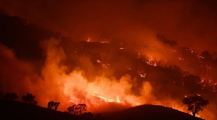 Лесные пожары в июле уничтожили более 53 тыс. га территории Италии