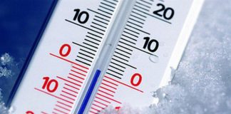 Январь 2020 года стал самым теплым январем за все время наблюдений