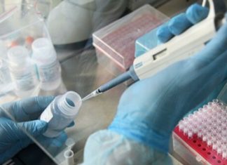 Глава ВОЗ спрогнозировал появление нового опасного вируса