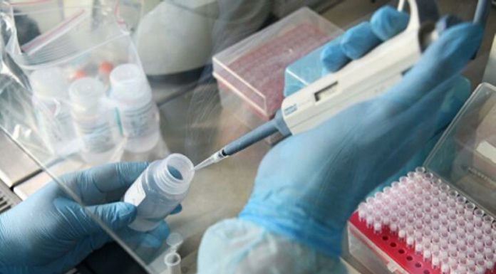 В России зарегистрировали первую в мире вакцину против COVID-19 для животных