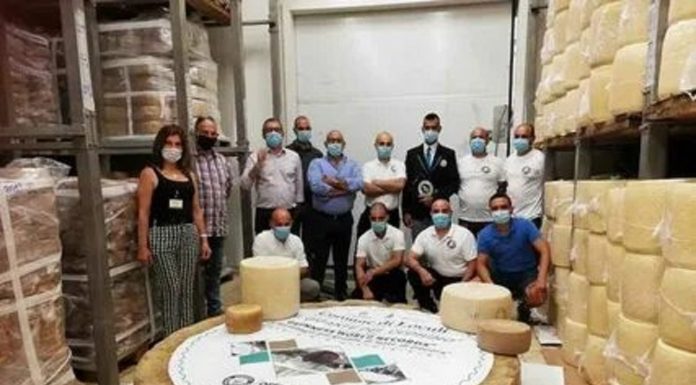 В Италии производители сыра побили мировой рекорд