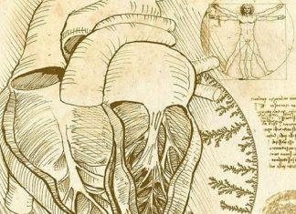 Смысл рисунка Леонардо да Винчи ученые разгадали спустя 500 лет