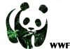 WWF сообщил о сокращении за 50 лет популяции животных в мире на 68%