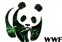 WWF сообщил о сокращении за 50 лет популяции животных в мире на 68%