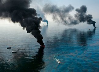 Ранен, но не убит. Как океан переживает техногенные катастрофы