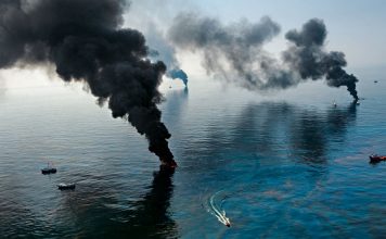 Ранен, но не убит. Как океан переживает техногенные катастрофы