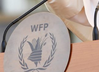 Нобелевскую премию мира получила продовольственная программа ООН