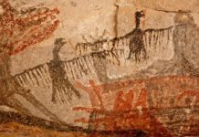 В итальянской пещере, которую изучают более 100 лет, найдены наскальные рисунки птицы