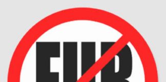 Модный дом Dolce & Gabbana заявил об отказе от натурального меха