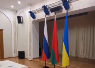 Конфликтный потенциал: какую роль сыграл Запад в срыве переговоров между Россией и Украиной