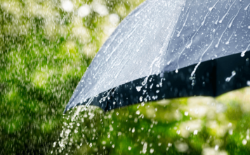 Осадки в виде канцерогенов: химикаты в дождевой воде превысили норму