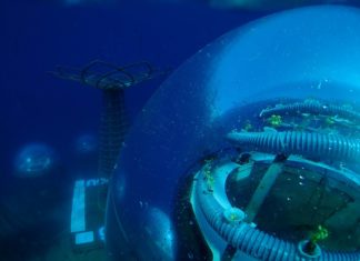 Итальянские дайверы научились выращивать овощи в подводных теплицах