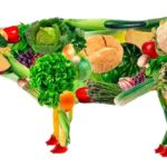 Мясо скоро исчезнет с прилавков по всей планете. Чем его заменят и кому выгодно отучить людей от говядины и свинины?