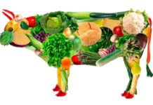 Мясо скоро исчезнет с прилавков по всей планете. Чем его заменят и кому выгодно отучить людей от говядины и свинины?