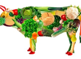 Мясо скоро исчезнет с прилавков по всей планете. Чем его заменят и кому выгодно отучить людей от говядины и свинины?