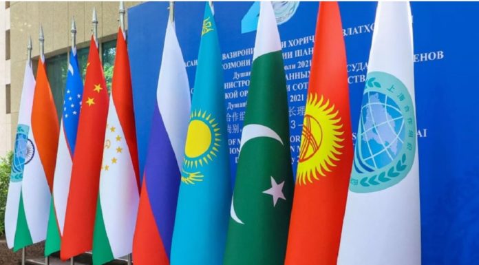 Как прошел саммит ШОС под председательством Индии