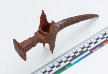 Археологи обнаружили в Тульской области уникальное оружие Смутного времени