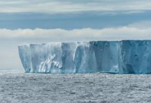 Крупнейший в мире айсберг может вскоре исчезнуть