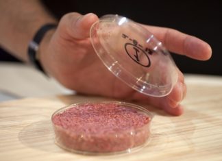 Италия первая в мире может запретить синтетическое мясо