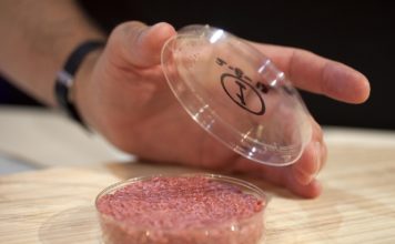 Италия первая в мире может запретить синтетическое мясо