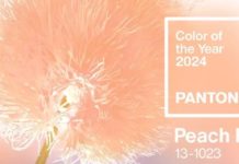 Pantone назвал Peach Fuzz — «персиковый пушок» — главным цветом 2024 года