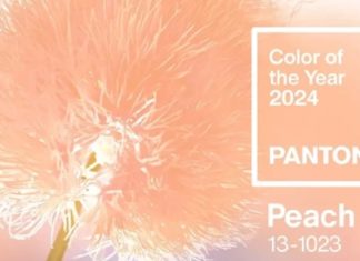 Pantone назвал Peach Fuzz — «персиковый пушок» — главным цветом 2024 года