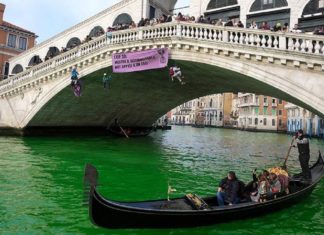 Итальянские экоактивисты окрасили воды Венеции в зеленый
