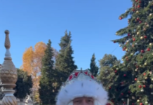 Более 3,5 тыс. россиян встретились с Дедом Морозом из Великого Устюга в Италии и Франции