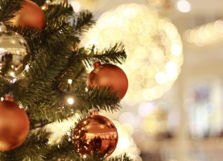 Опрос: где россияне проведут новогодние каникулы