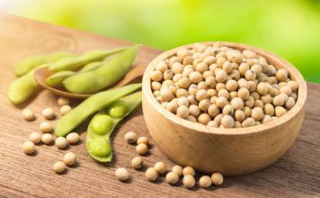 ЕС рискует лишиться сои более чем на десять миллиардов евро в год