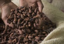 Названы подорожавшие вслед за какао продукты