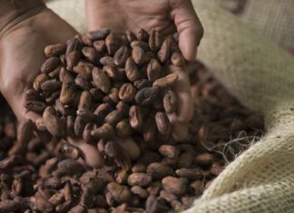 Названы подорожавшие вслед за какао продукты