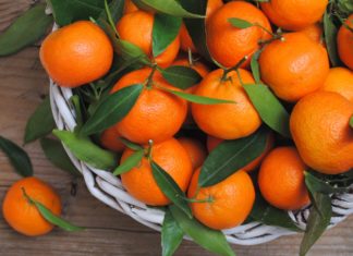 Эксперты назвали самую «мандариновую» страну 2023 года