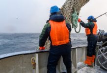 Россия запретит британским рыбакам ловлю в Баренцевом море